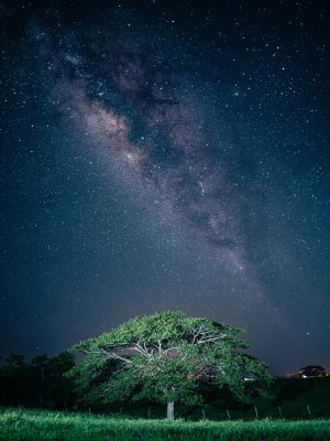 悬疑系推荐剧集封面，暗色调城市夜景中的神秘侦探形象，红果短剧app悬疑推荐